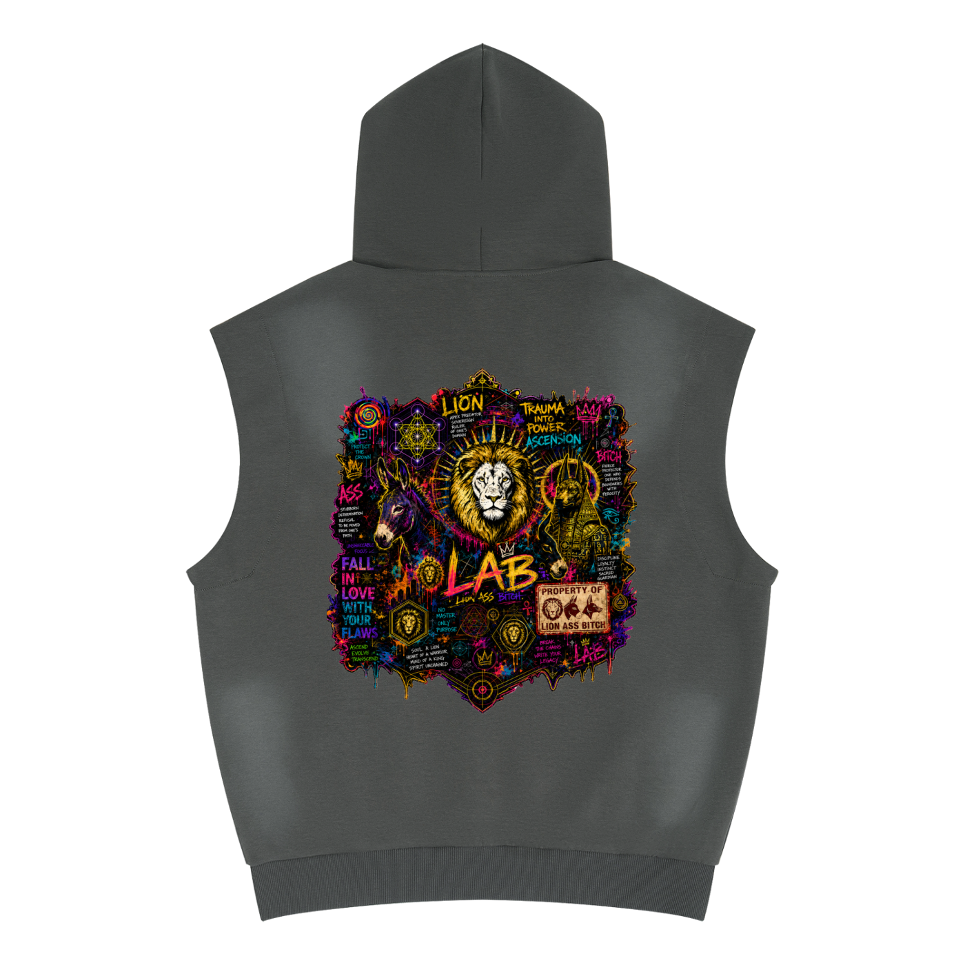 Unisex Vintage Wash Sun Fade Sleeveless Hoodie