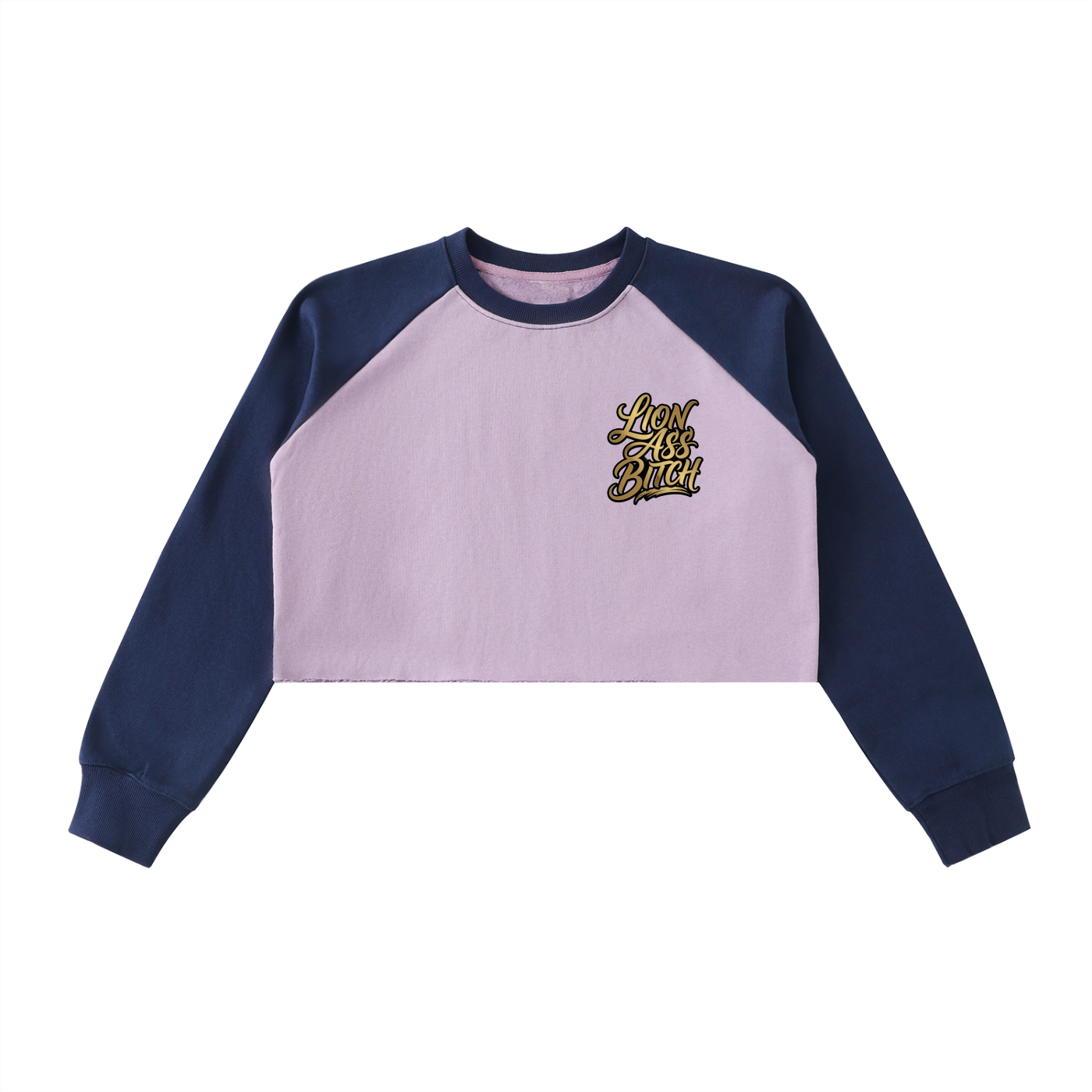 LAB - Color-Block Raw-Hem Cropped Sweatshirt