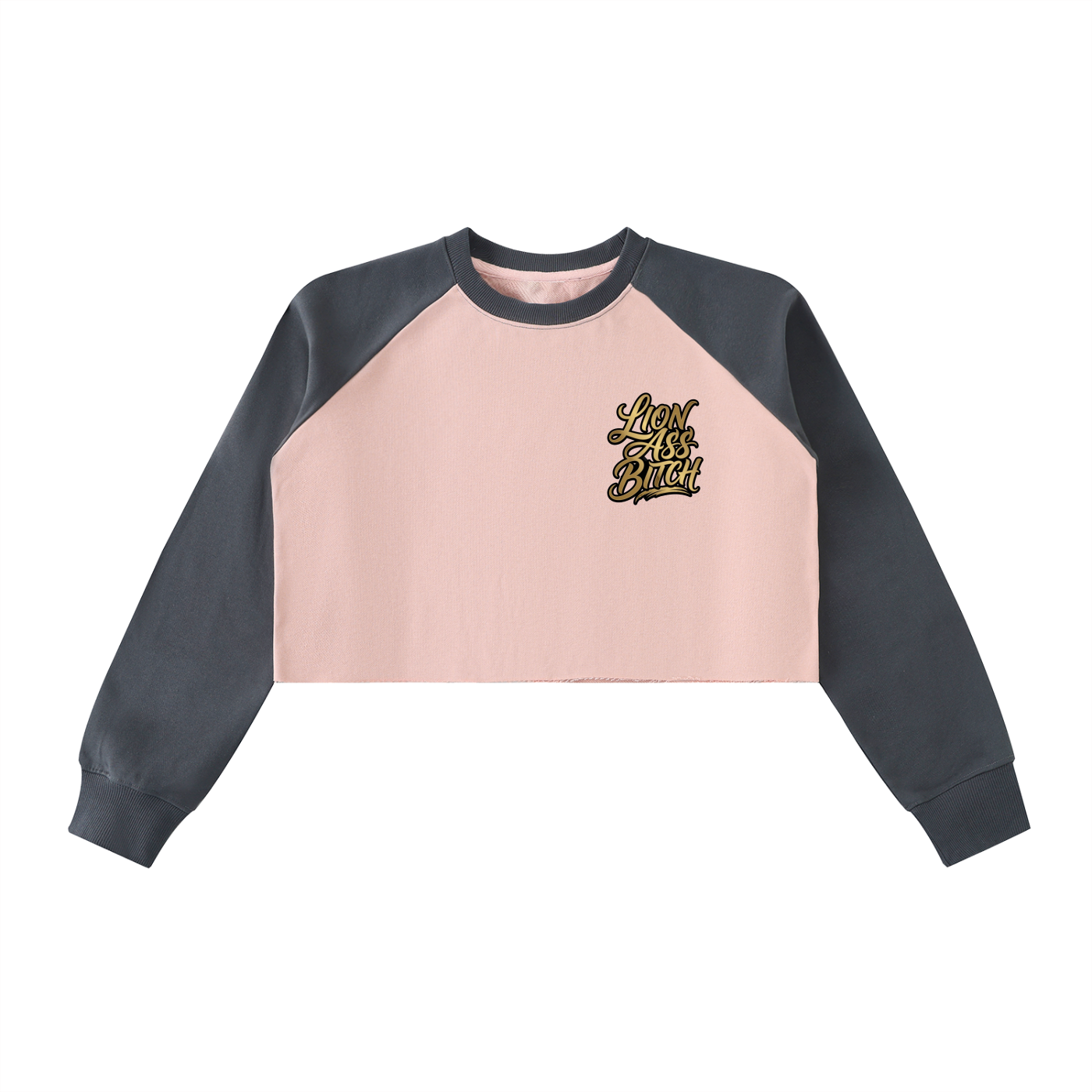 LAB - Color-Block Raw-Hem Cropped Sweatshirt