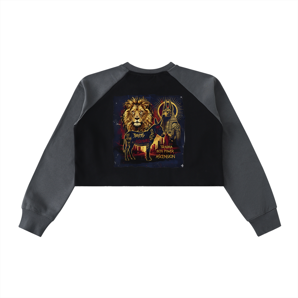LAB - Color-Block Raw-Hem Cropped Sweatshirt