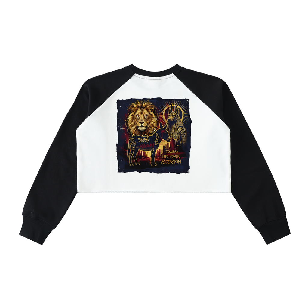LAB - Color-Block Raw-Hem Cropped Sweatshirt