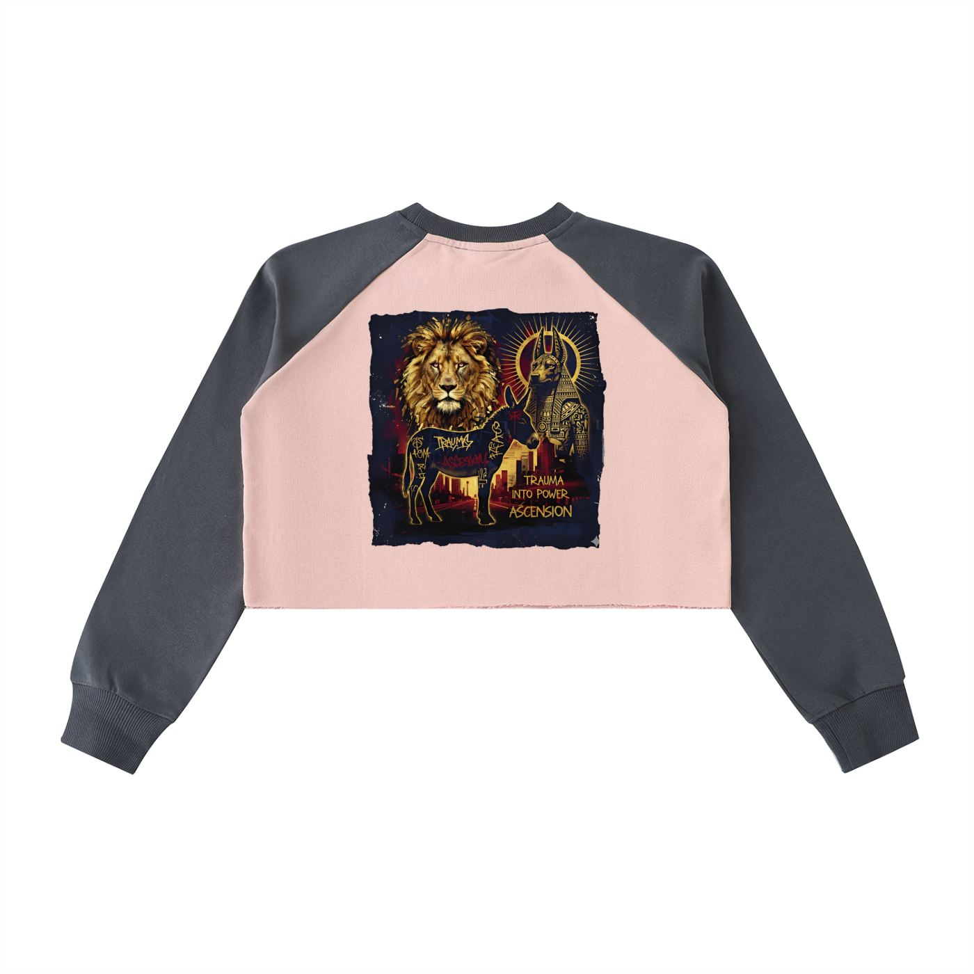 LAB - Color-Block Raw-Hem Cropped Sweatshirt