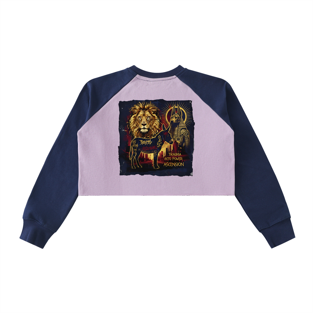 LAB - Color-Block Raw-Hem Cropped Sweatshirt